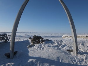 Bowhead whale bones overlook the frozen beach and ocean in north Barrow